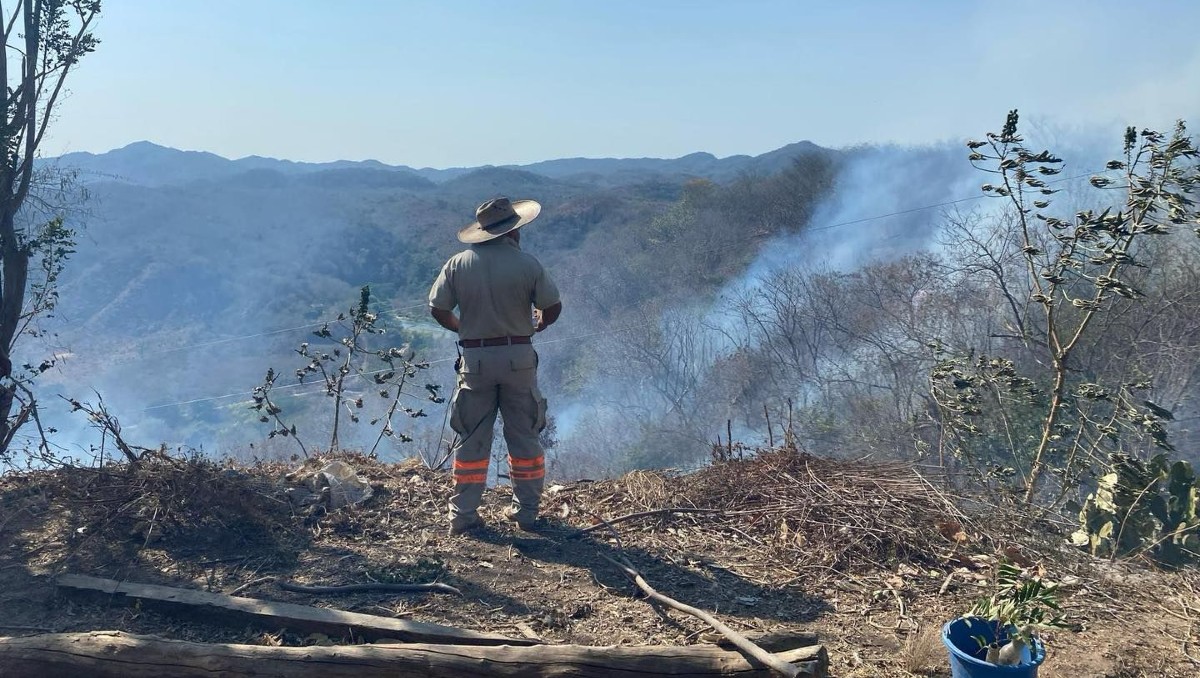 Autoridades combaten incendios Oaxaca; más de 360 hectáreas afectadas | Especial