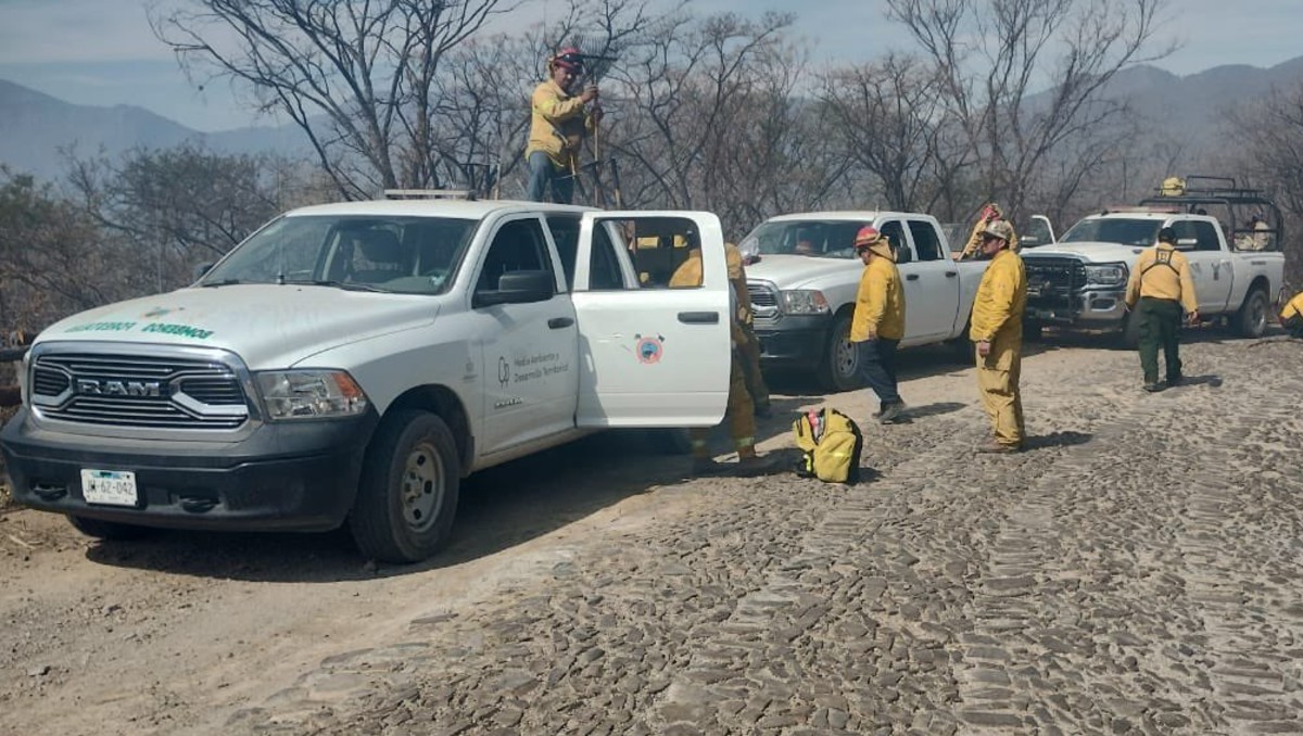 Trabajan para controlar incendio en Sierra de Quila en Jalisco (X)
