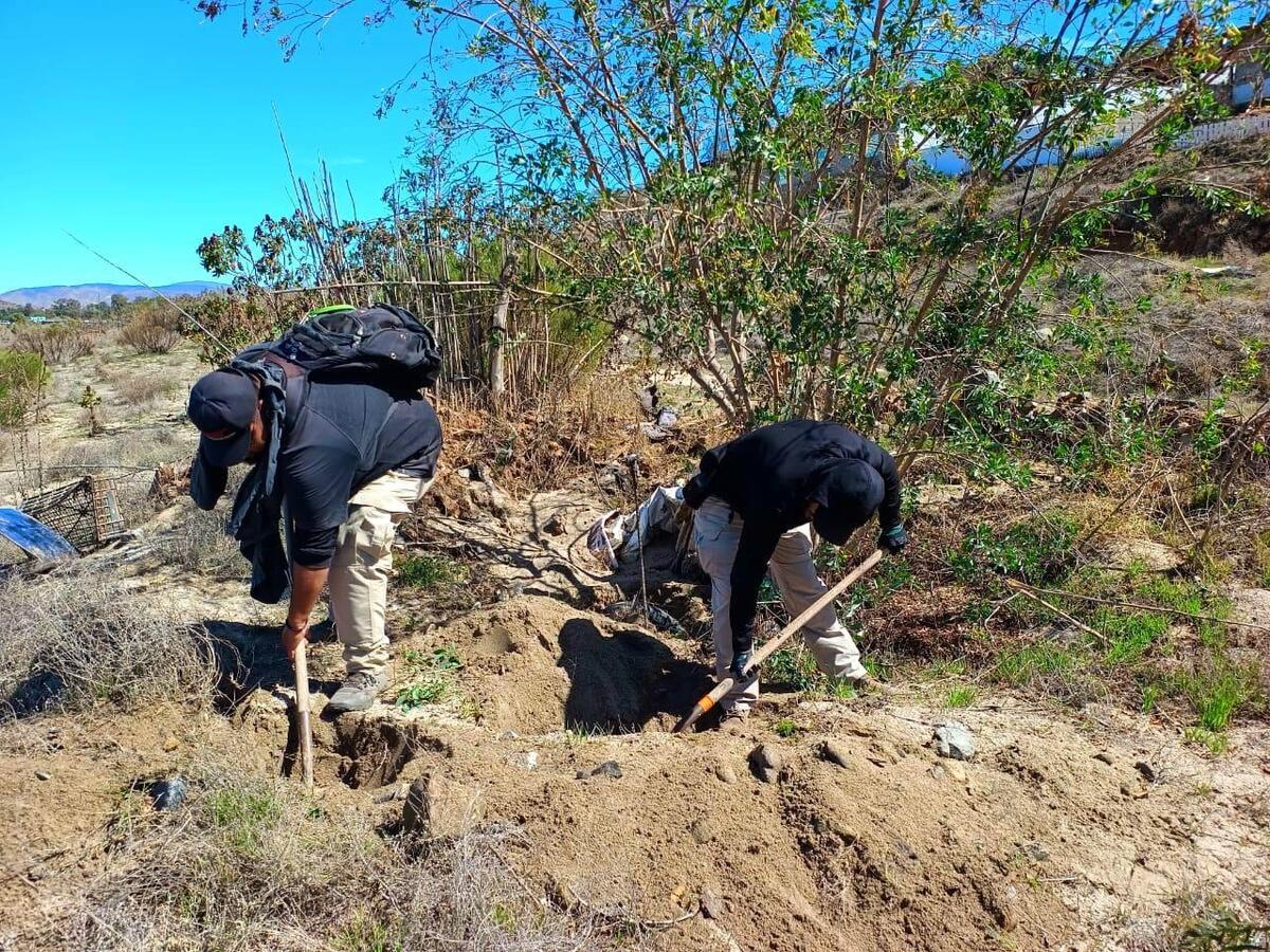 Restos humanos de cinco personas son hallados en Baja California.
