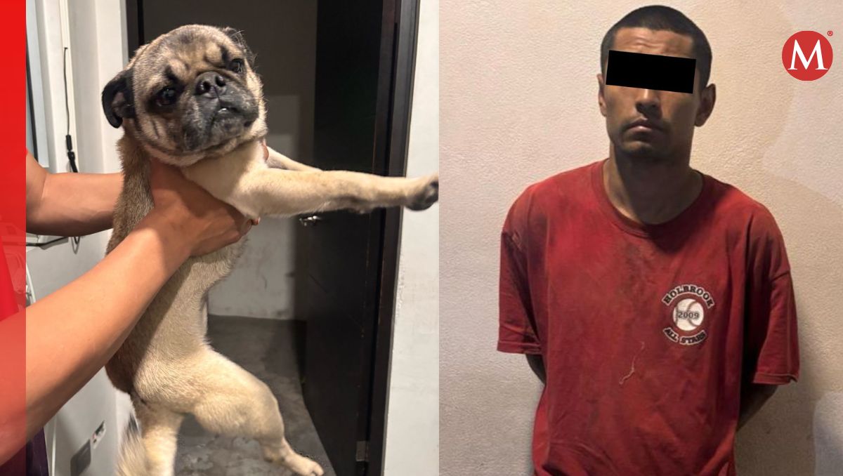 El detenido fue identificado como Marco "N", de 29 años | Especial
