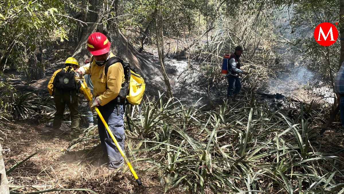 Atiende Protección Civil 5 incendios simultáneamente en Tamaulipas. (Cortesía)