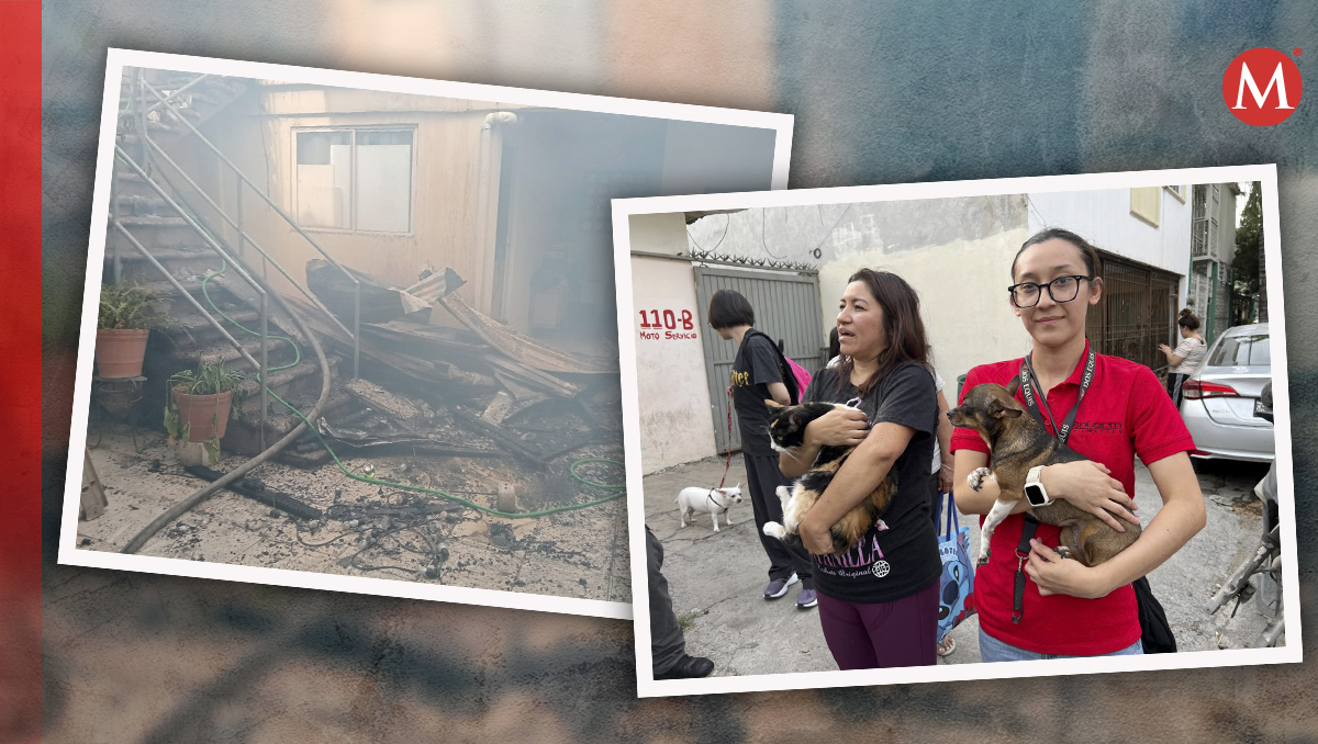 Se logró el rescate de dos perritas chihuahueñas y una gatita. Foto: Mayte Villasana