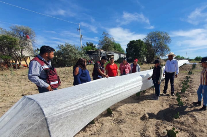 Entregaron paquetes con plantas de nopal. (Cortesía)