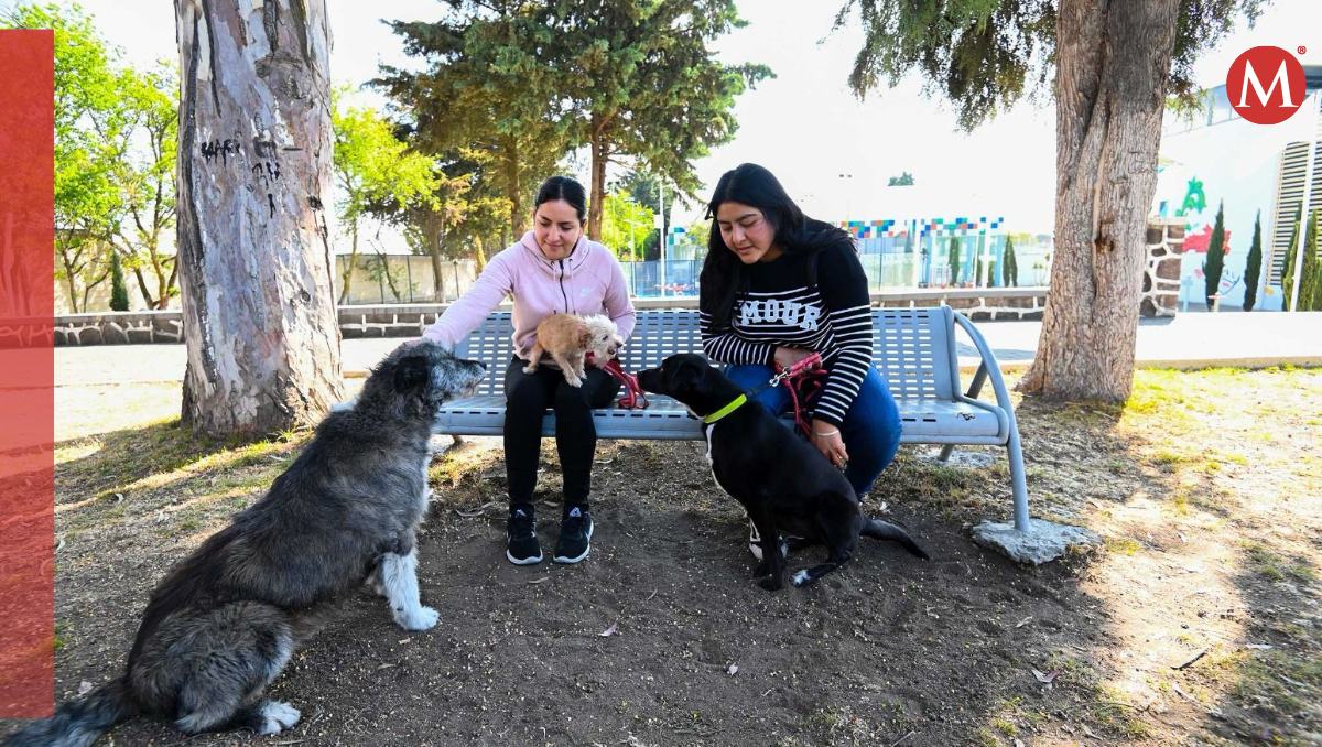 Lista de espera de algún órgano o tejido supera las 200 personas, realizarán caminata pet friendly para sensibilizar. | Foto: Monserrat Mata