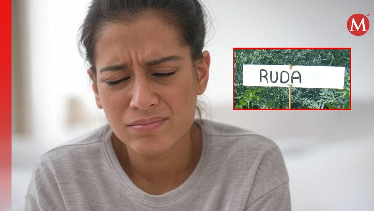 La ruda ha sido una planta medicinal utilizada en México | Especial