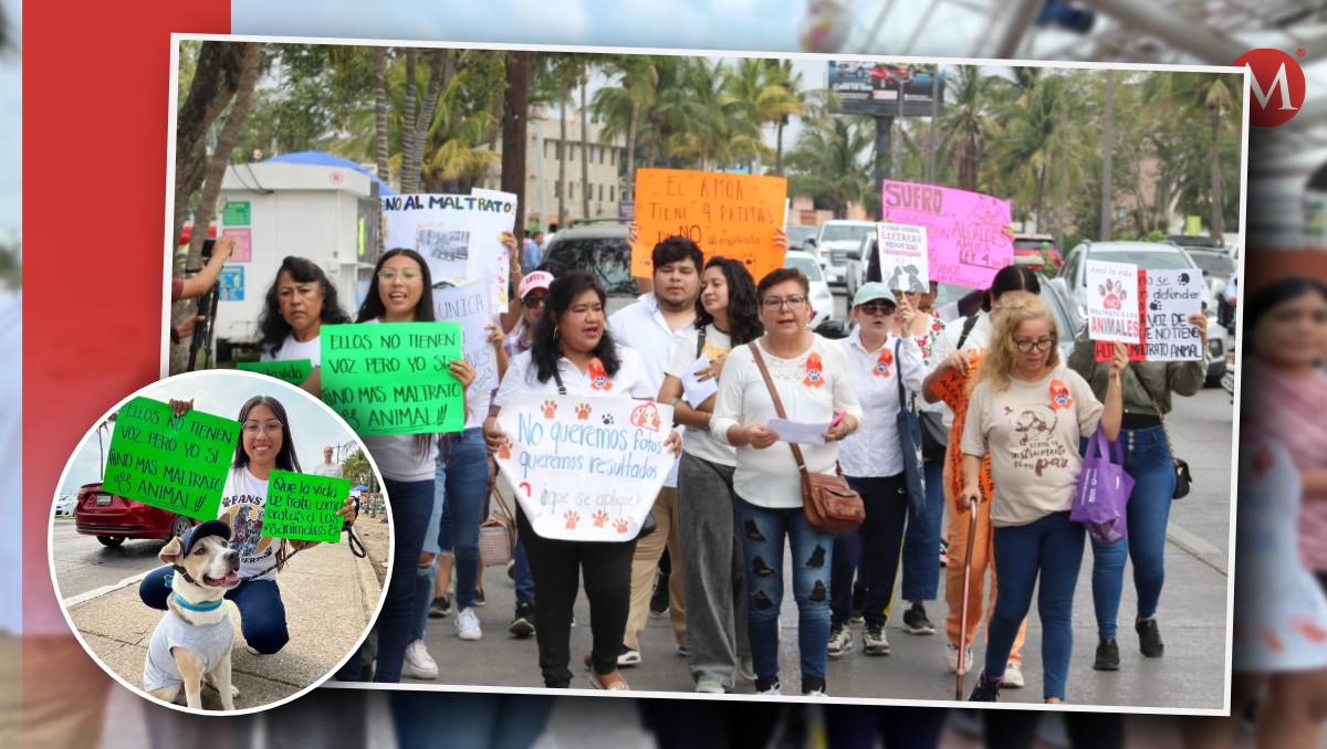 Con pancartas en mano, más de una docena de personas se manifestaron en contra del maltrati animal. | Especial/Yazmín Sánchez