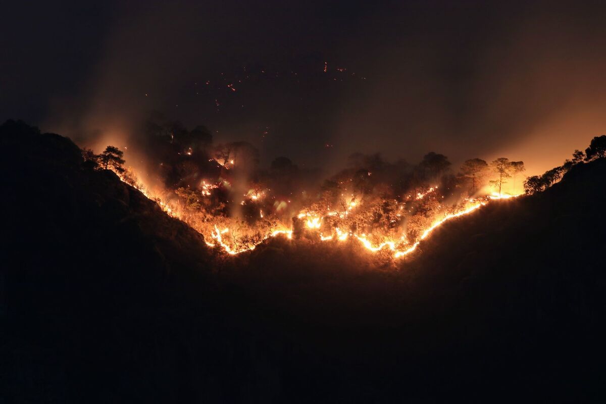 Ya suman 228 personas combatientes del incendio en  Tepoztlán, Morelos. | Cuartoscuro