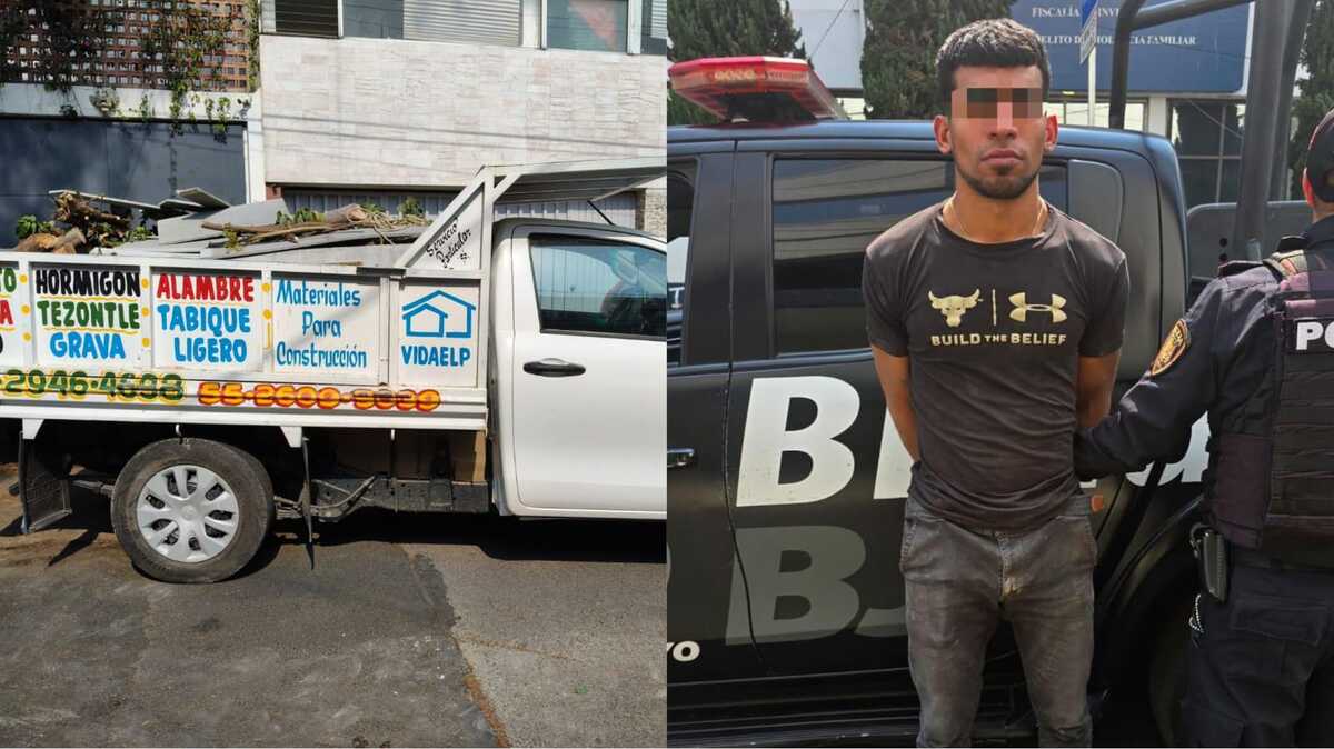 Individuo es acusado por presunta tala ilegal en Benito Juárez