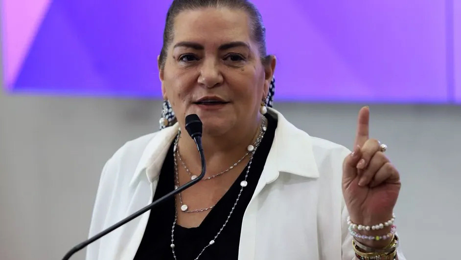 Taddei asegura que INE no entregará Padrón Electoral al gobierno federal