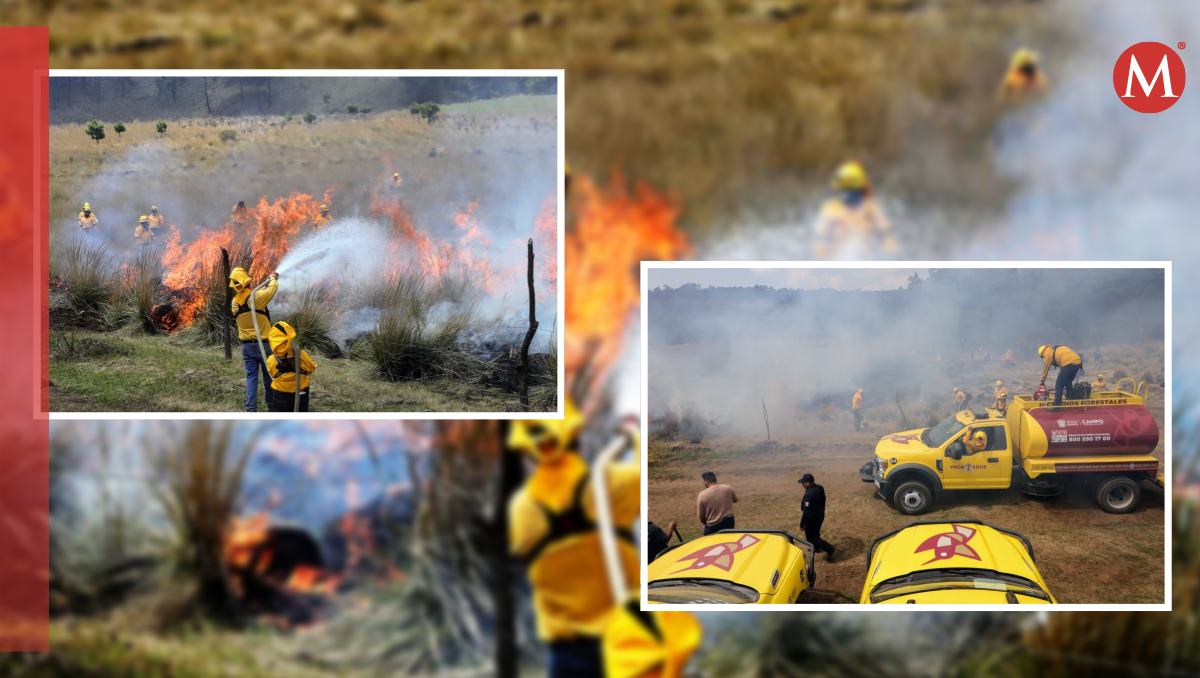 Probosque reporta 196 incendios en Edomex hasta marzo, 56% menos que en 2024. | Especial