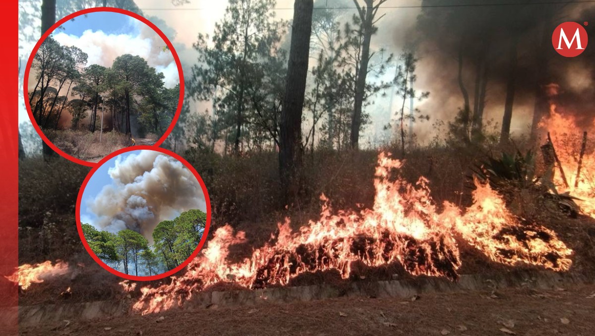 Brigadistas trabajan en la contención del incendio forestal en Mazamitla, Jalisco. (Cortesía)