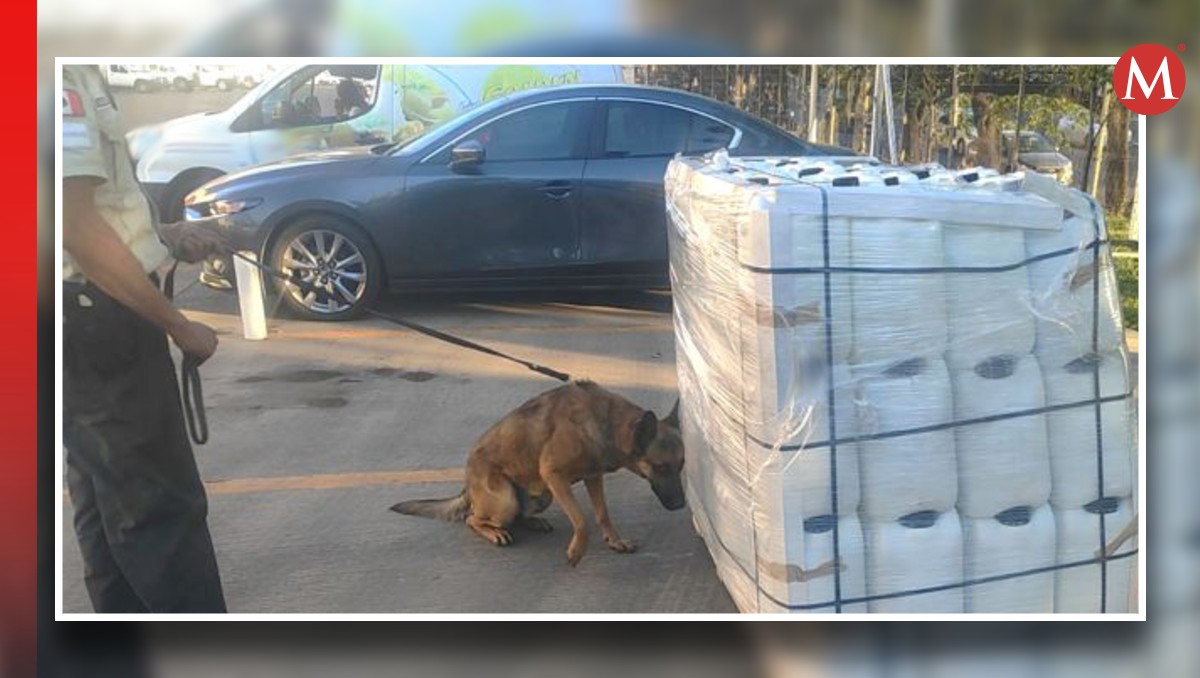 La Guardia Nacional aseguró metanfetamina tras inspeccionar una empresa de paquetería en Jalisco. | Especial