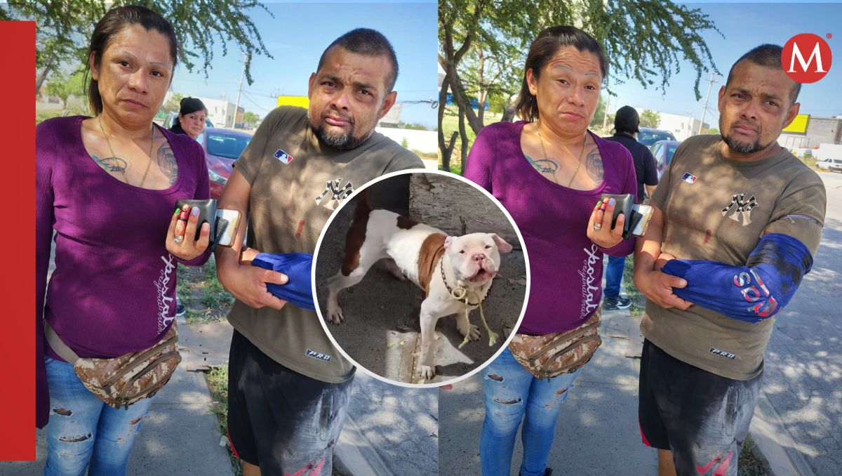 La pareja del dueño sufrió una herida en el dedo anular izquierdo | Agustín Martínez