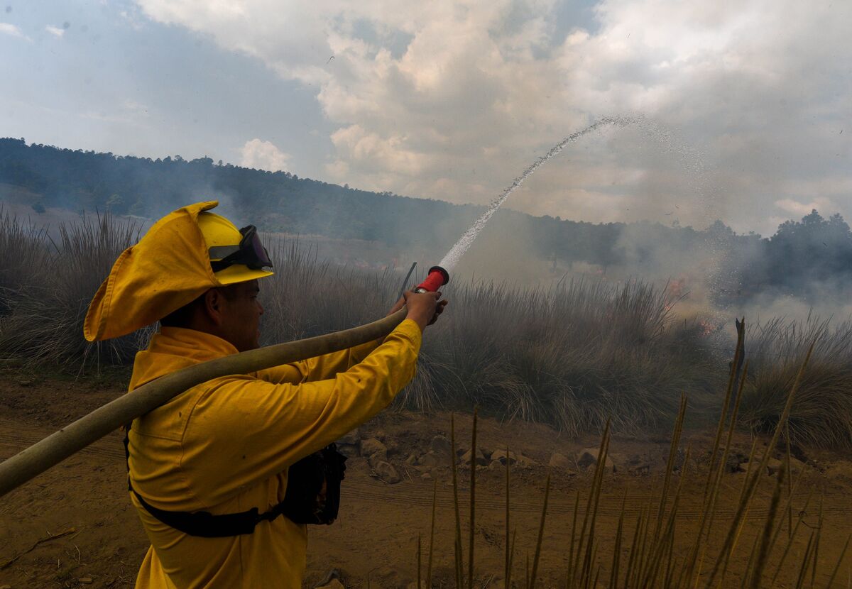 Las condiciones climatológicas actuales en Chiapas han ayudado en la disminución de incendios. | Foto: CUARTOSCURO