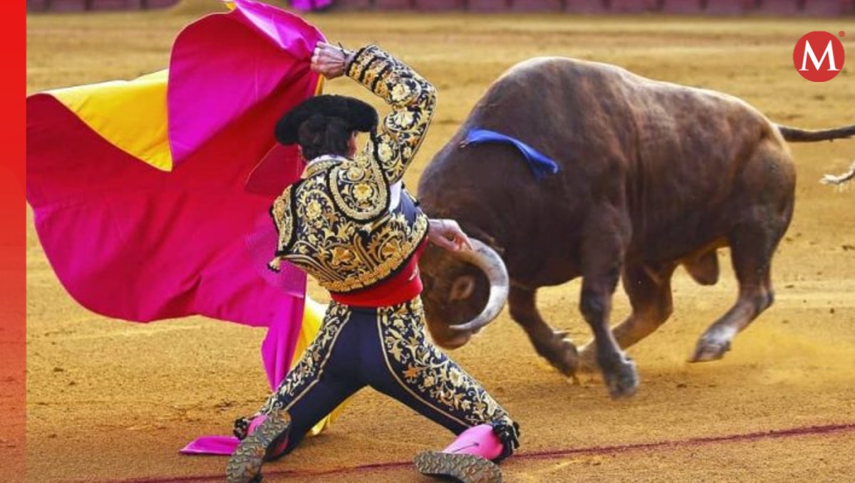 Congreso de Guanajuato busca promover tauromaquia sin-violencia | Especial