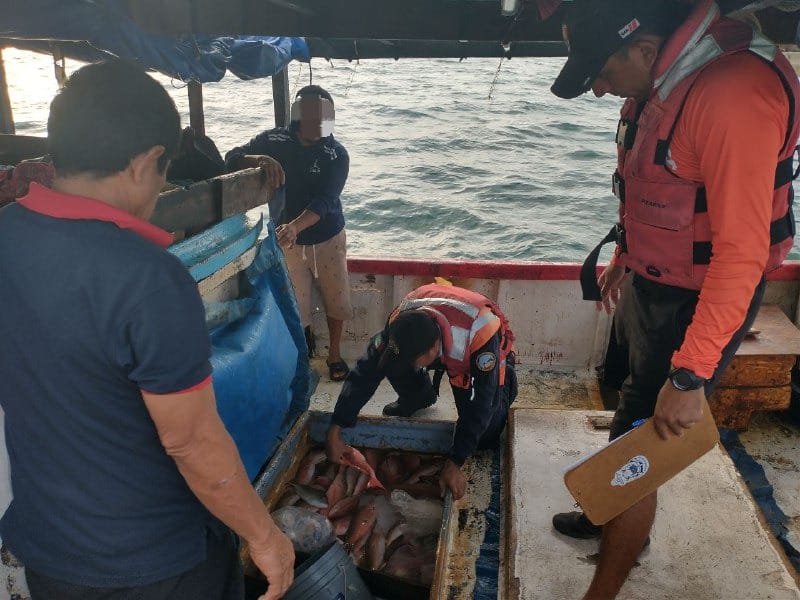 Pesca ilegal: más de mil kilos de productos marinos asegurados en Yucatán | Especial
