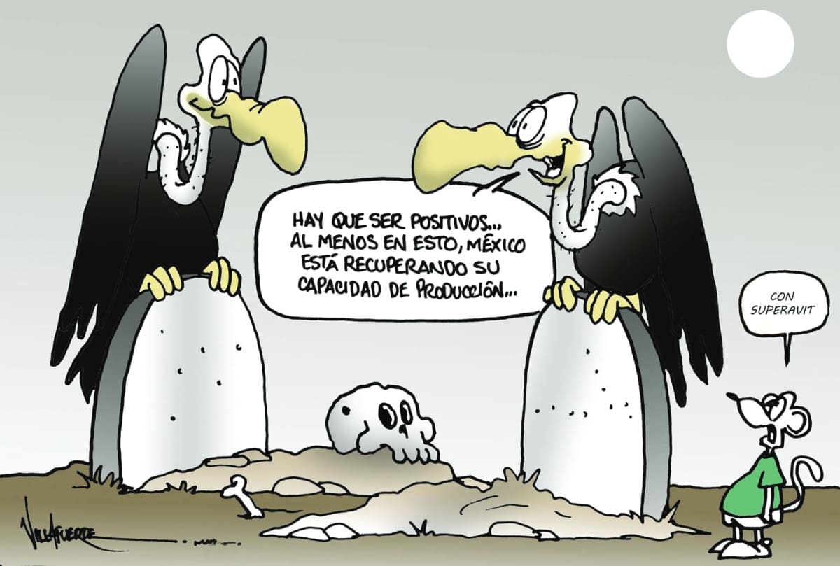 Apoyo al campo... santo