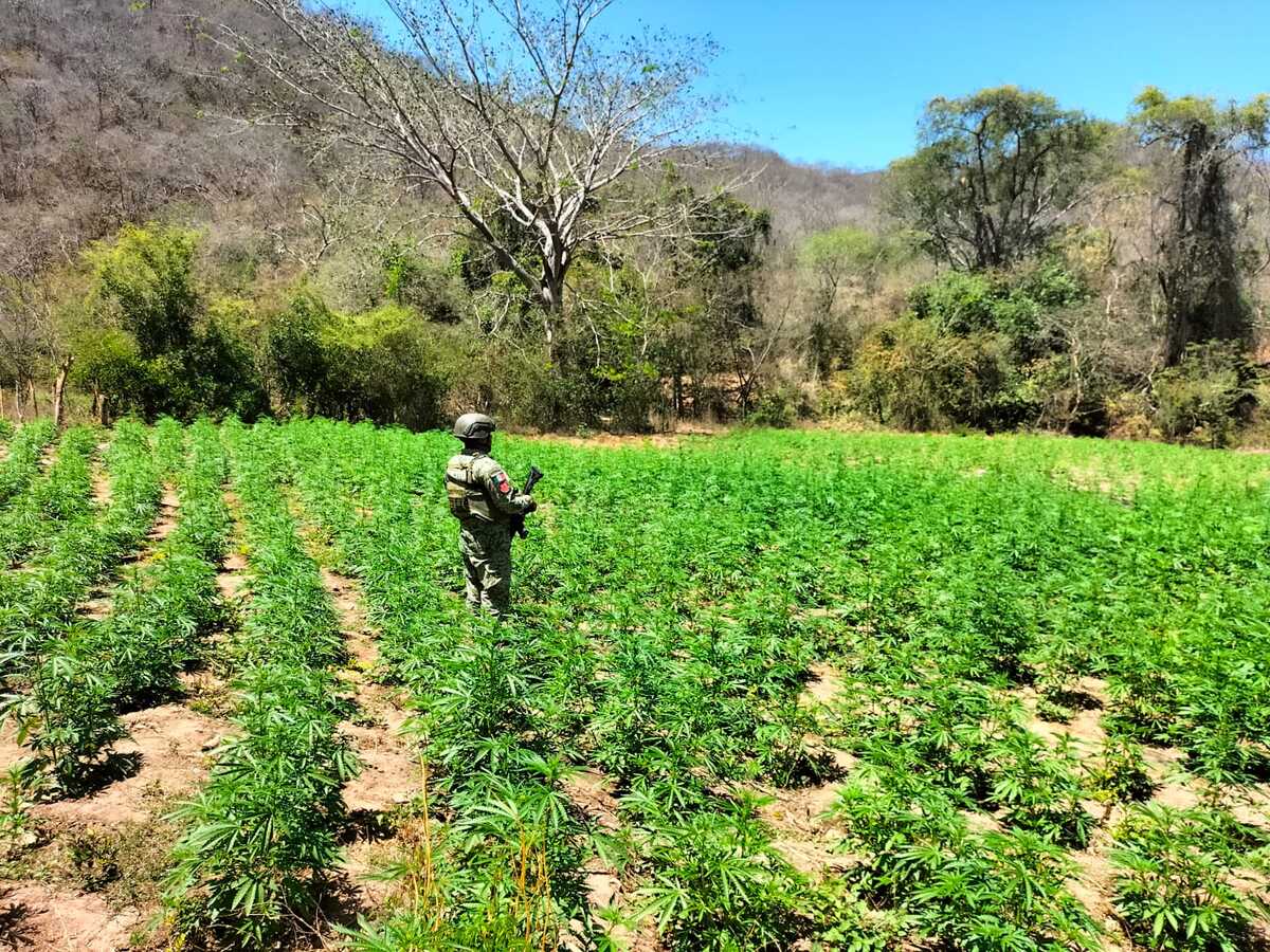 Los uniformados activaron los protocolos de seguridad. (Foto: especial)