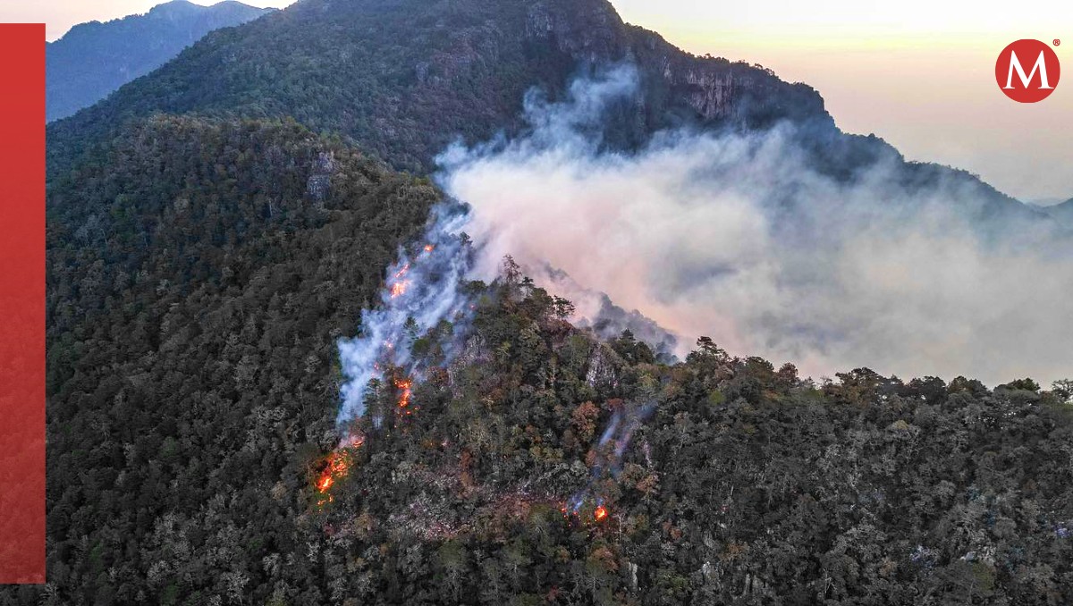 Avanza control de incendio forestal en la Sierra de Buenavista, Xilitla