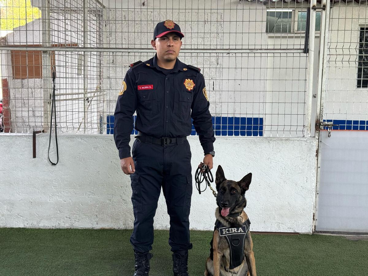 La corporación cuenta con 14 perros, los cuales están entrenados para detectar drogas. | Especial