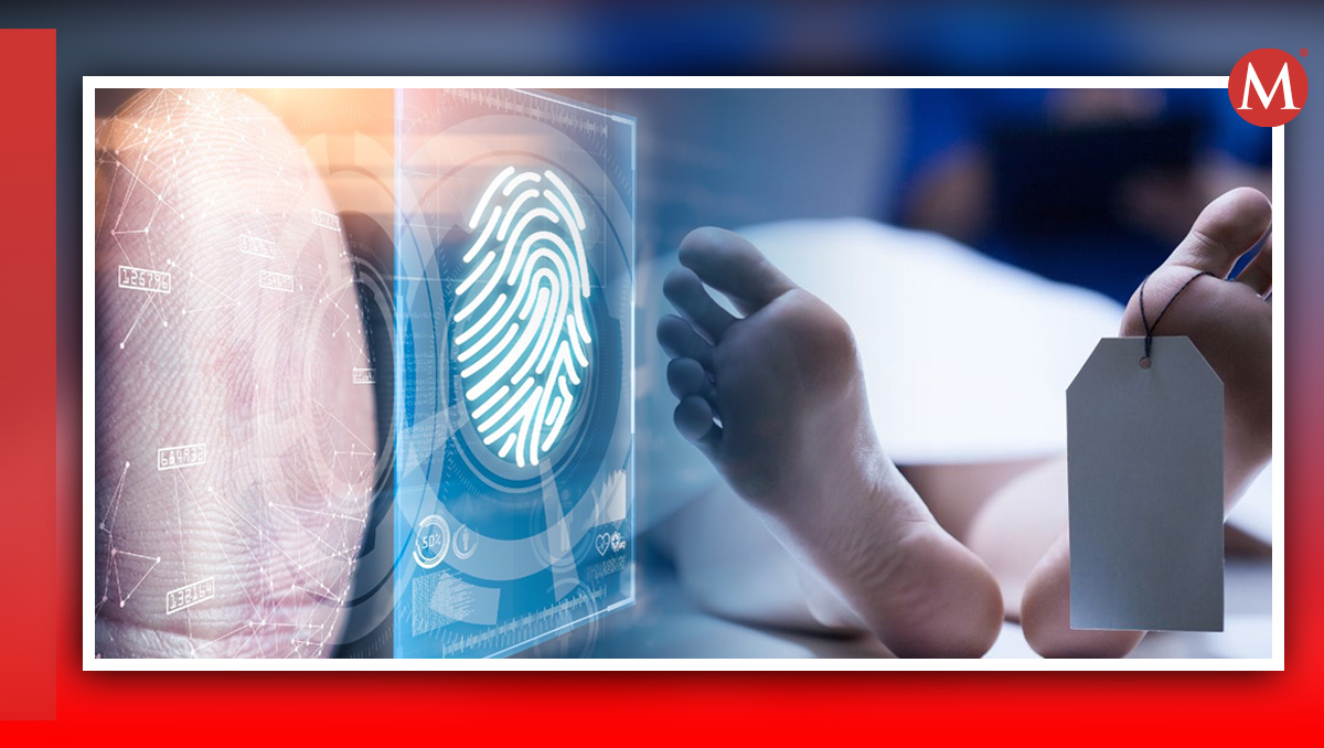 FGE Puebla identificará cuerpos con huellas dactilares del INE | Especial / Diseño Antonio Texta