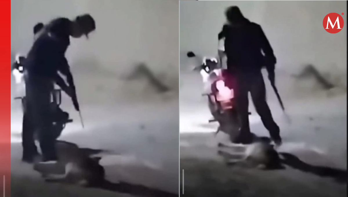 El joven disparó en varias ocasiones al animal y después la arrastró en la motocicleta (Fotos: Redes sociales)