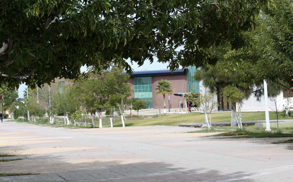 UAdeC. l Aula Milenio