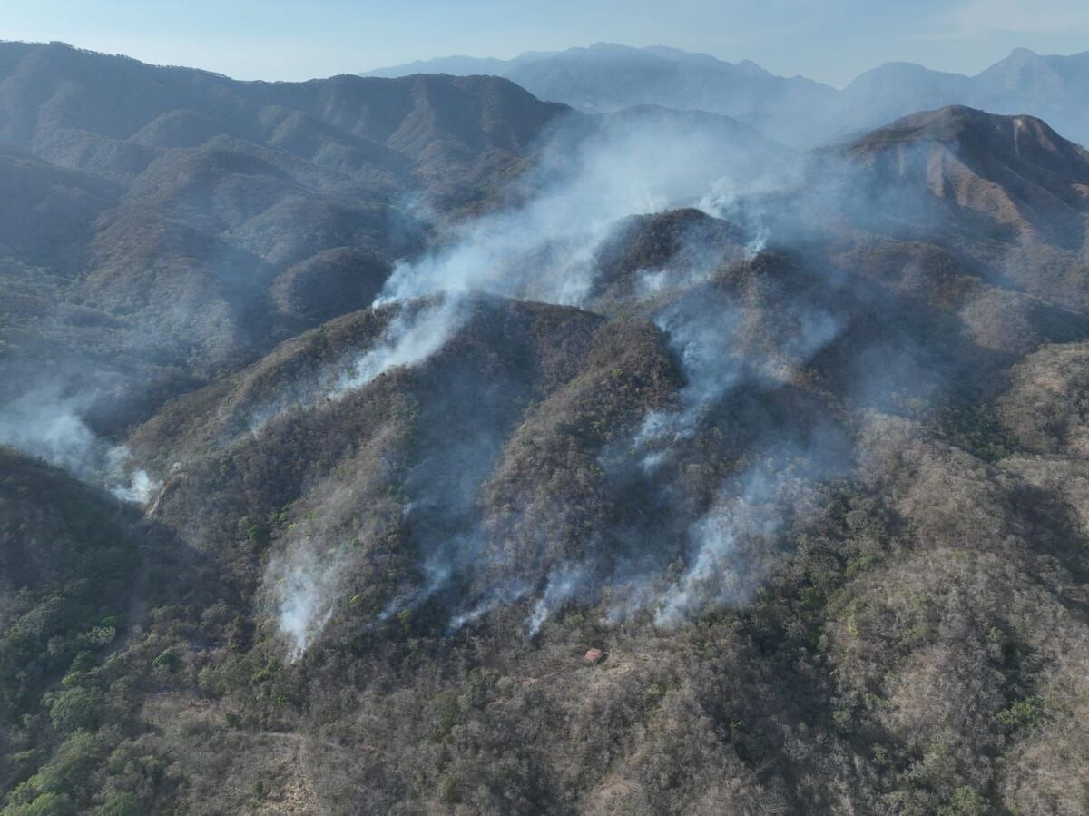 Colima registró 18 incendios forestales en lo que va del 2025
