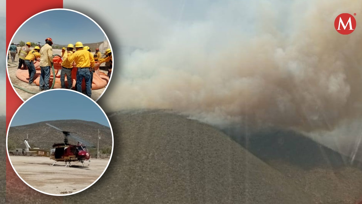 Incendios forestales en Tamaulipas. | Especial