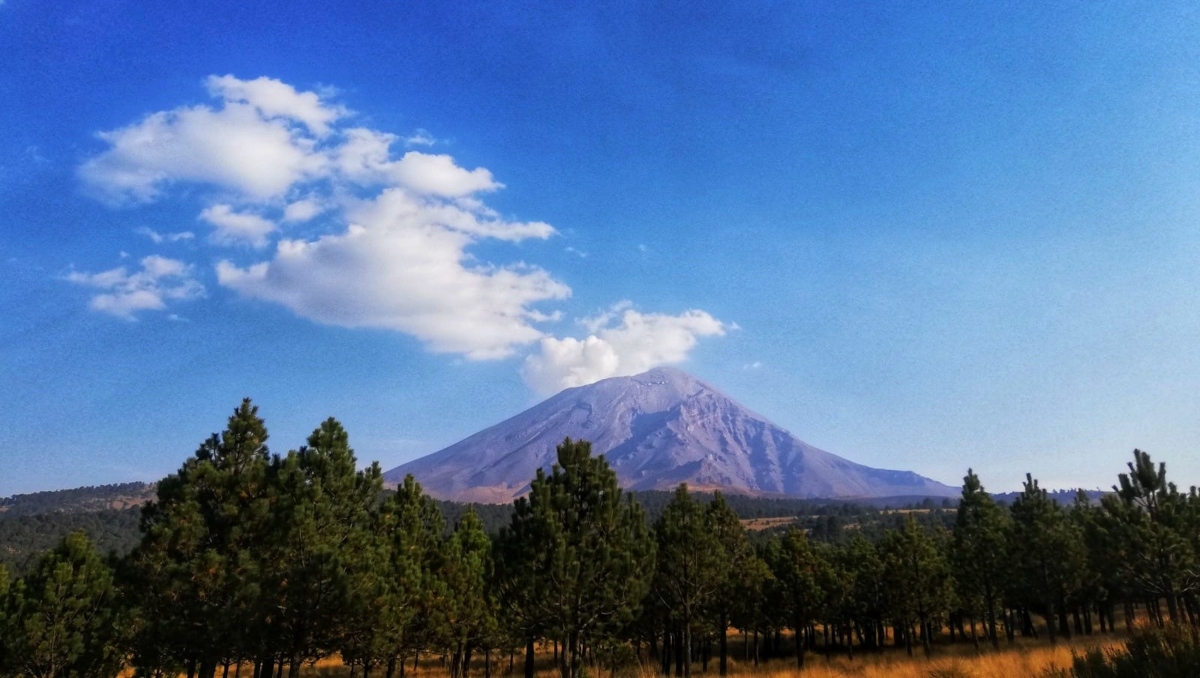 Popocatépetl HOY: Actividad registrada 8 de abril de 2025 | EN VIVO | Jaime Zambrano