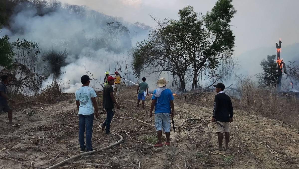 Se reportaron 15 incendios forestales activos | Especial