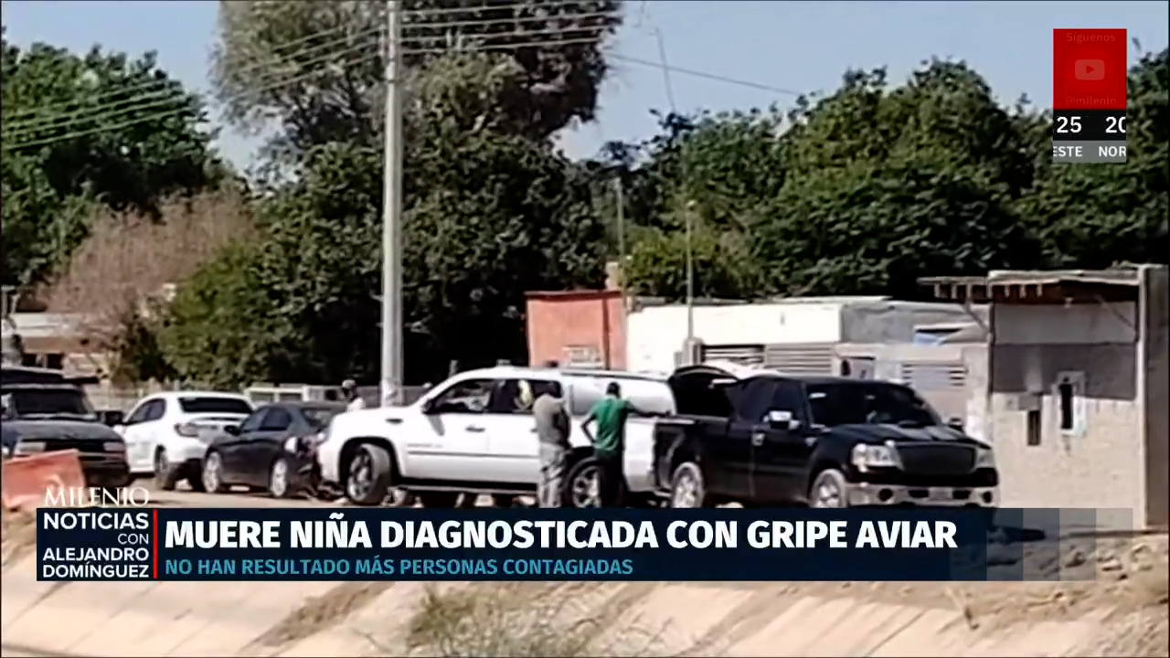 Muere menor de 3 años diagnosticada con gripe aviar en Coahuila