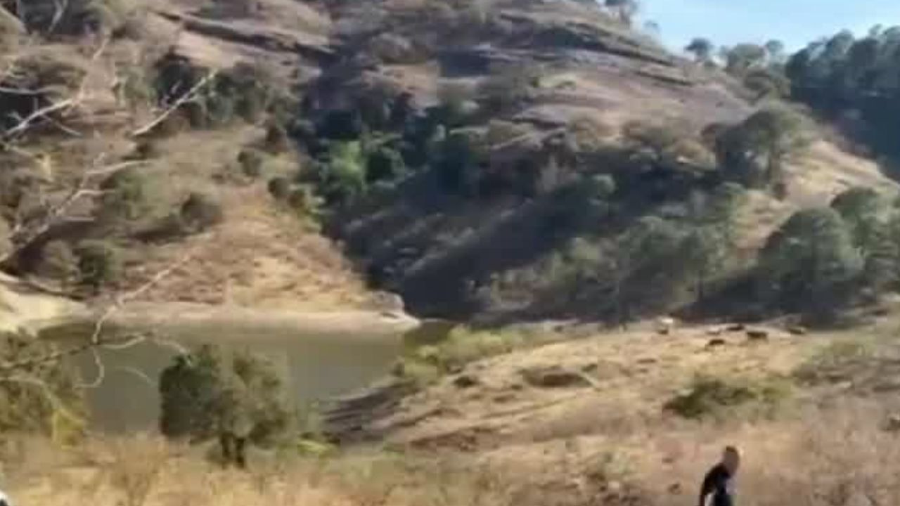 En Chihuahua, se mantienen activos cinco incendios forestales; autoridades intentan sofocarlos