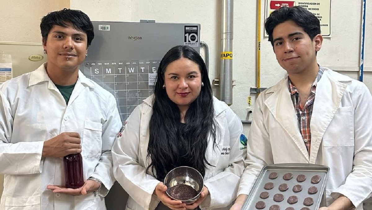 Galletas elaboradas con harina de orujo de uva hechas a partir de la investigación. (cortesía)