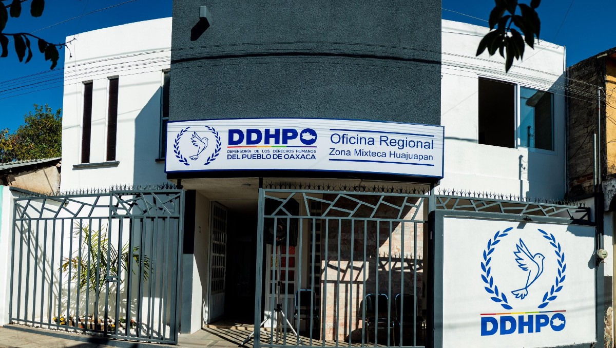 Oaxaca: violencia contra activistas persiste sin respuesta institucional | Especial