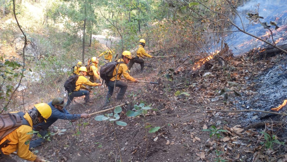 El incendio en el ejido Cañón de Vacas lleva seis días. Especial