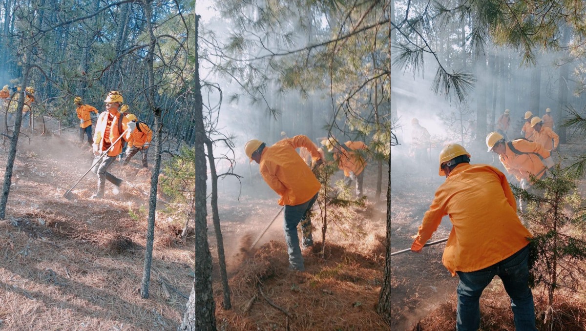 Chihuahua enfrenta 16 incendios activos; movilizan brigadas y voluntarios en ocho municipios | Especial
