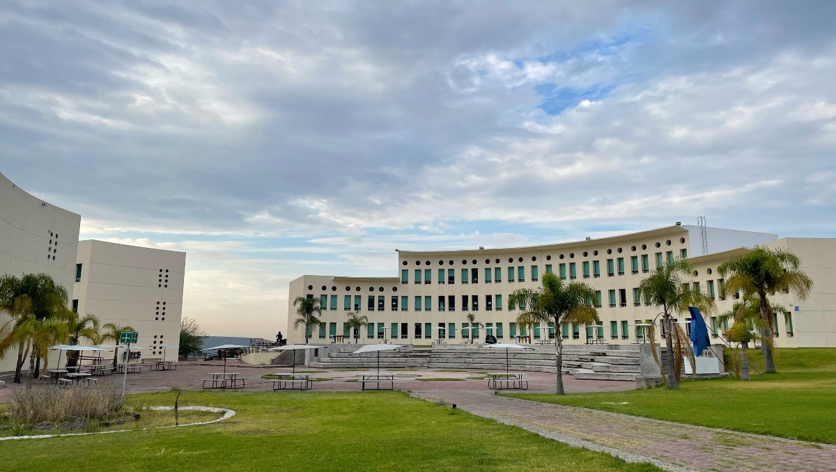 Querétaro desarrolla alternativa sustentable para eliminar unicel con insectos | Especial