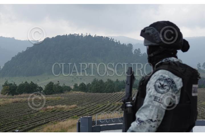 Clausuran y desmantelan dos aserraderos en Huitzilac, Morelos