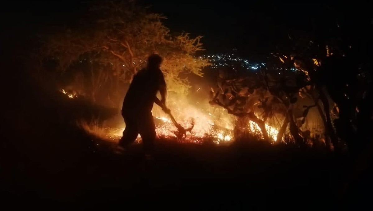 Incendios forestales en Tepeji consumen cerros y pastizales