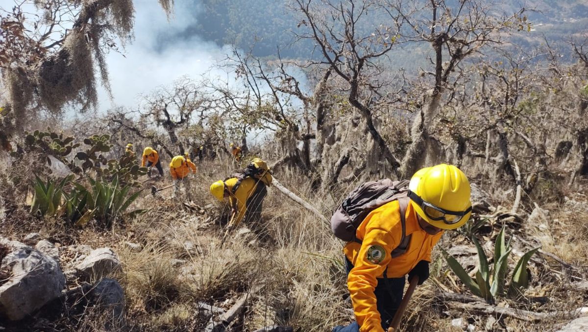Las condiciones ambientales afectaron ayer | Especial