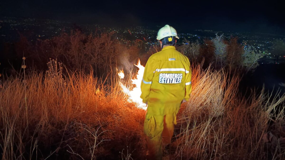 Más de ocho mil hectáreas han resultado afectadas por los incendios. | Foto: Especial