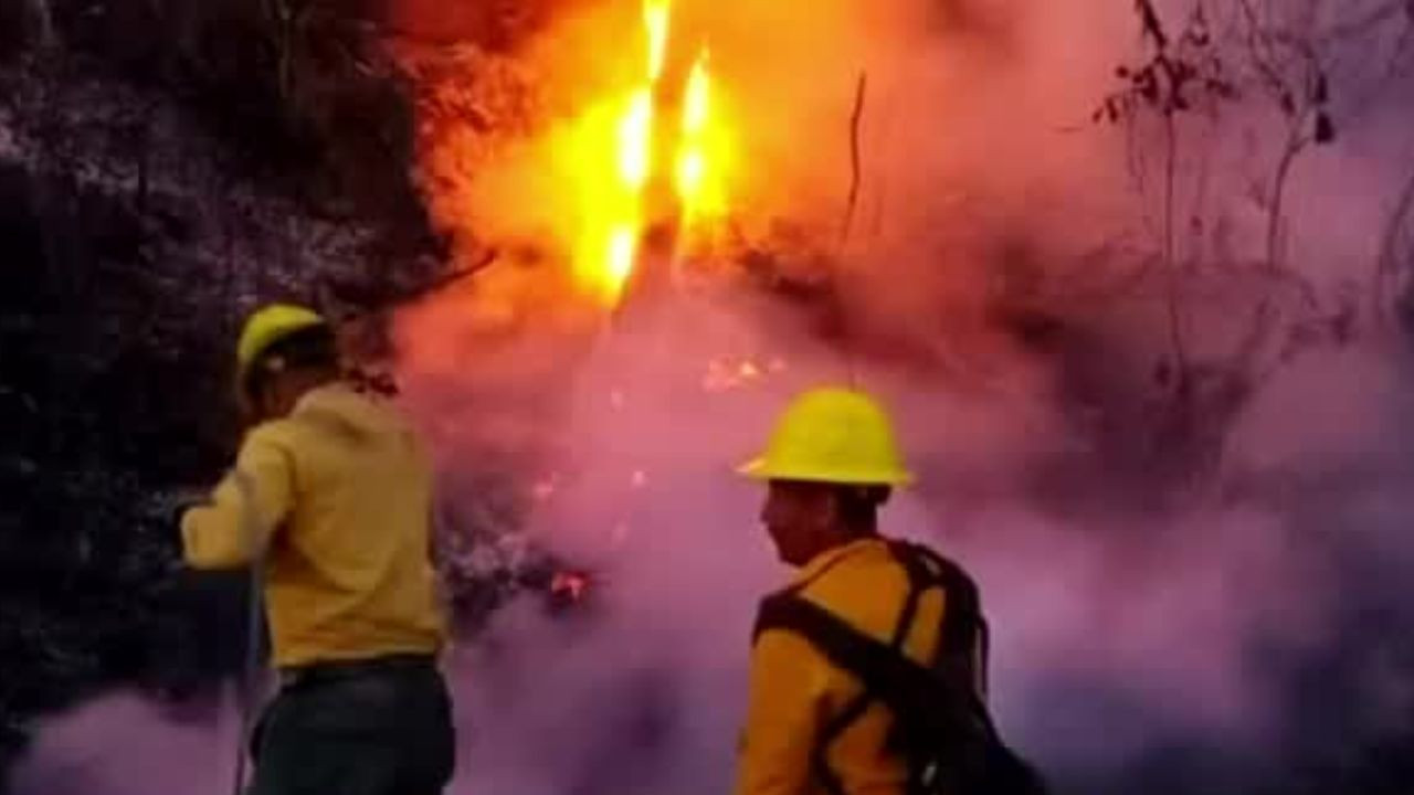 Autoridades reportan un 90% de control en incendio forestal del ejido de Quesería, Colima
