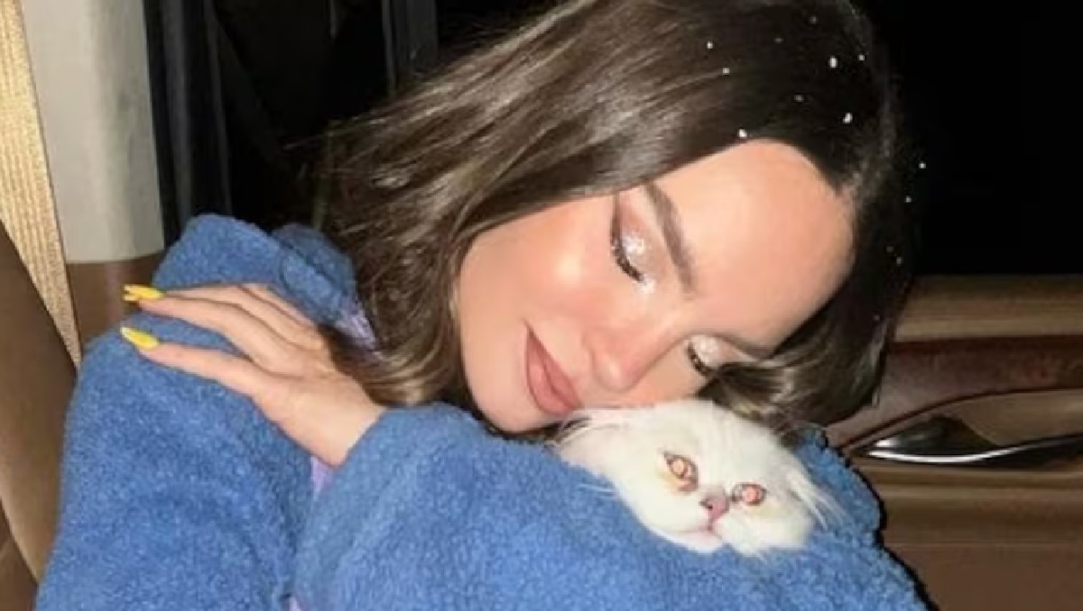 El gatito de Belinda estuvo perdido al rededor de 4 días.