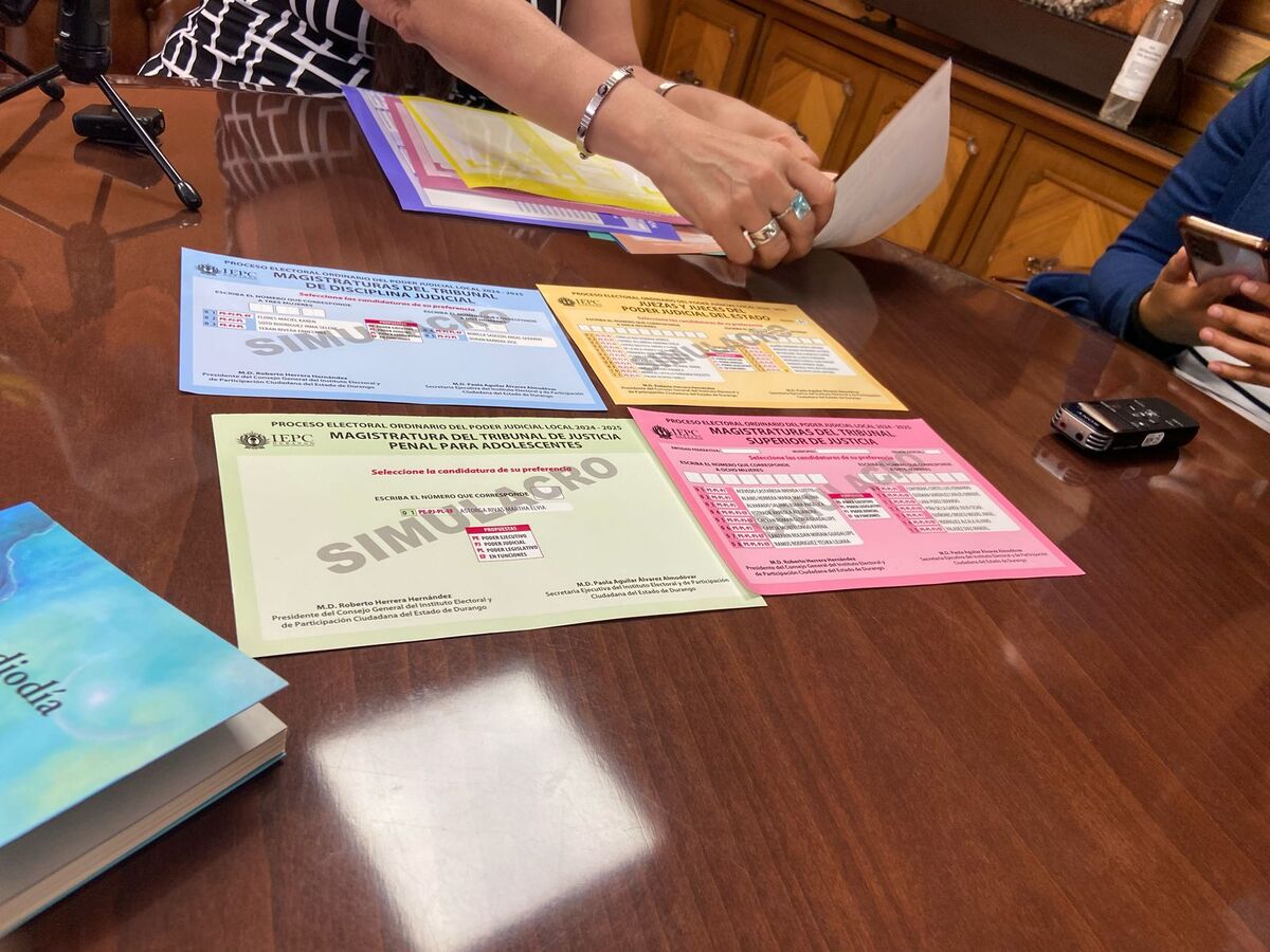 La entrevistada comentó que cada una de las boletas cuenta con un color particular para cada una de las elecciones que deben de elegirse.| Archivo