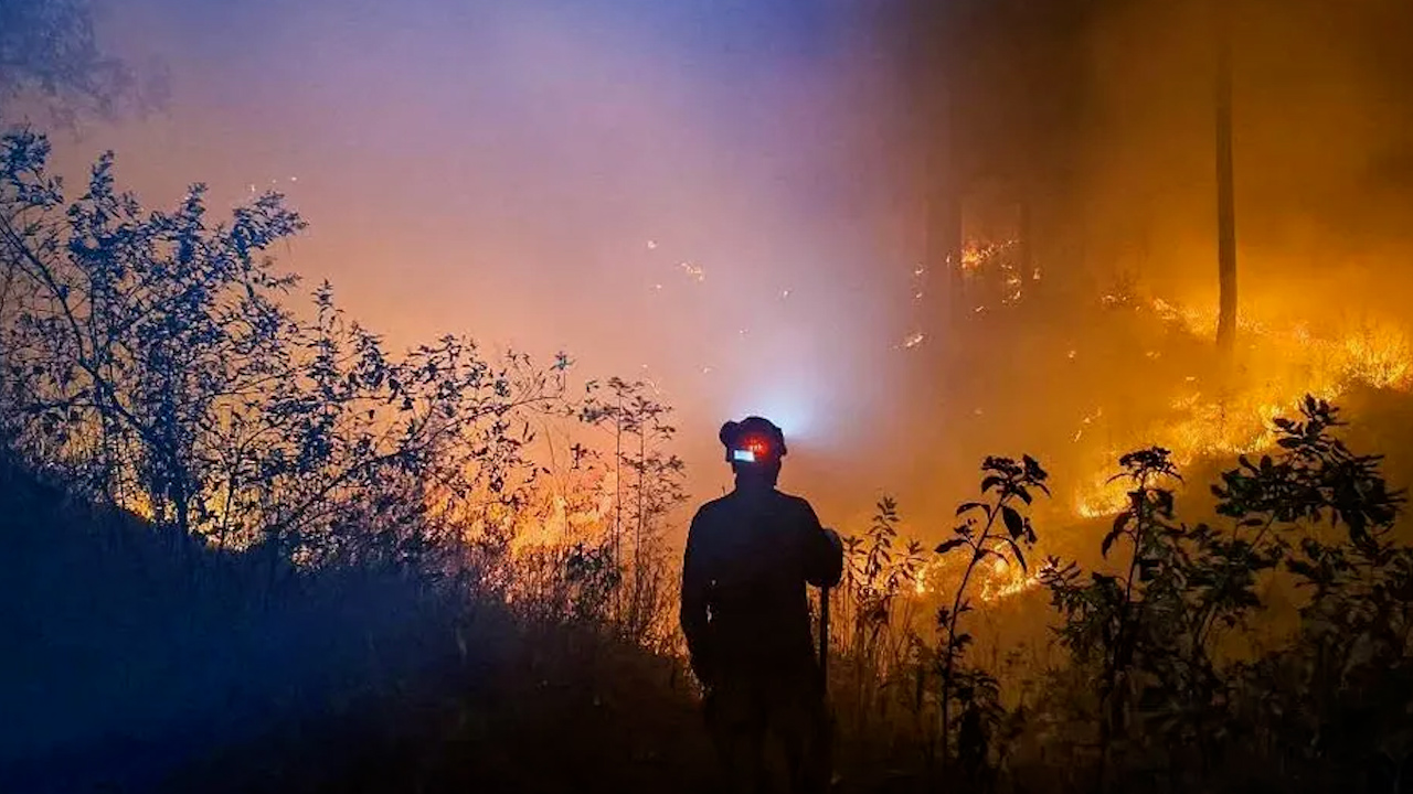 Michoacán destaca entre los estados más afectados por incendios forestales en México
