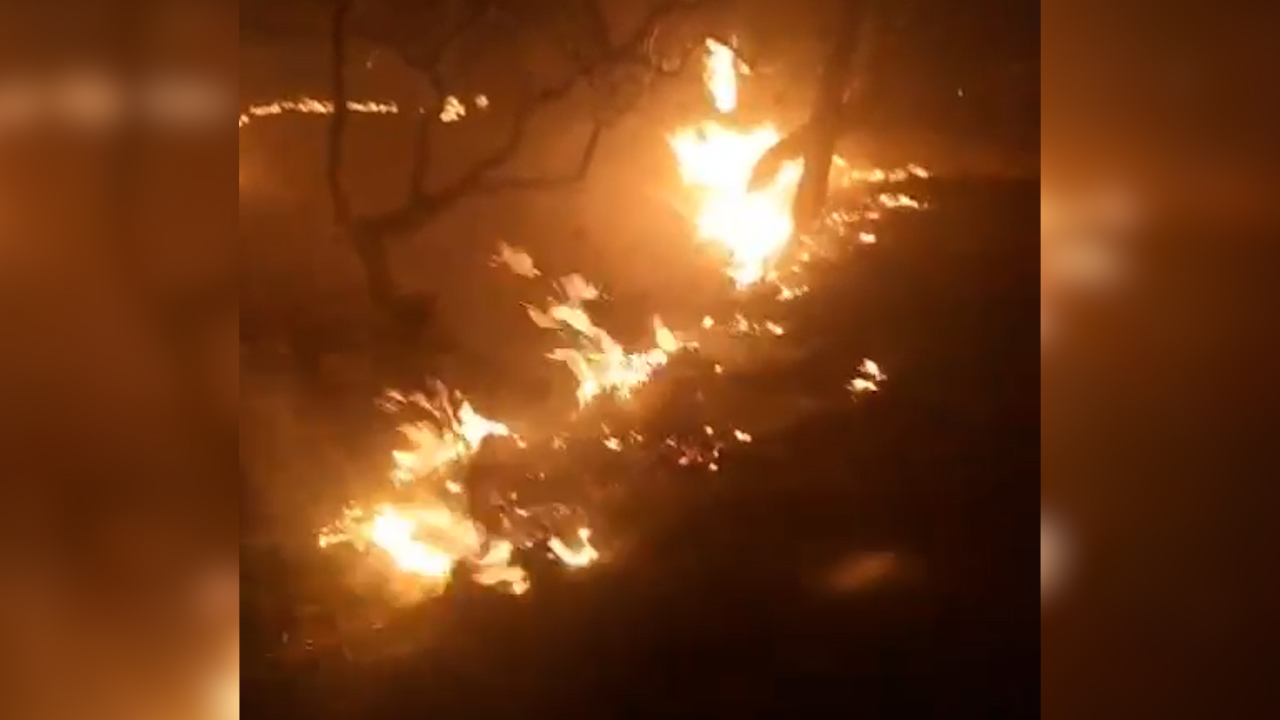Mueren calcinados dos comuneros mientras combatían incendio forestal en Oaxaca