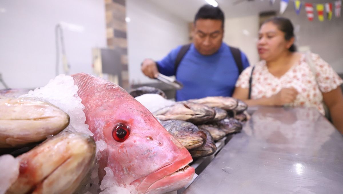 El pescado y al atún subieron más que la inflación. Leonel Rocha