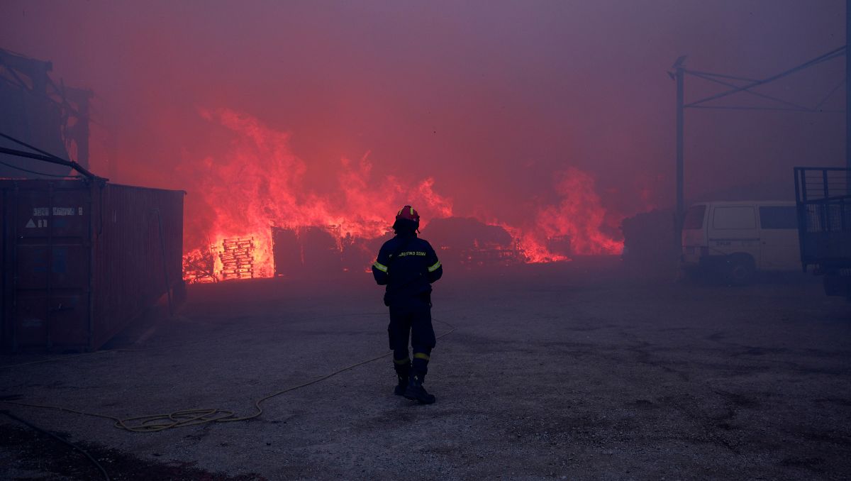 En el estado se han registrado 189 casos de delitos contra el medio ambiente del 2021 a los primeros tres meses del 2025 / Agencia AP.