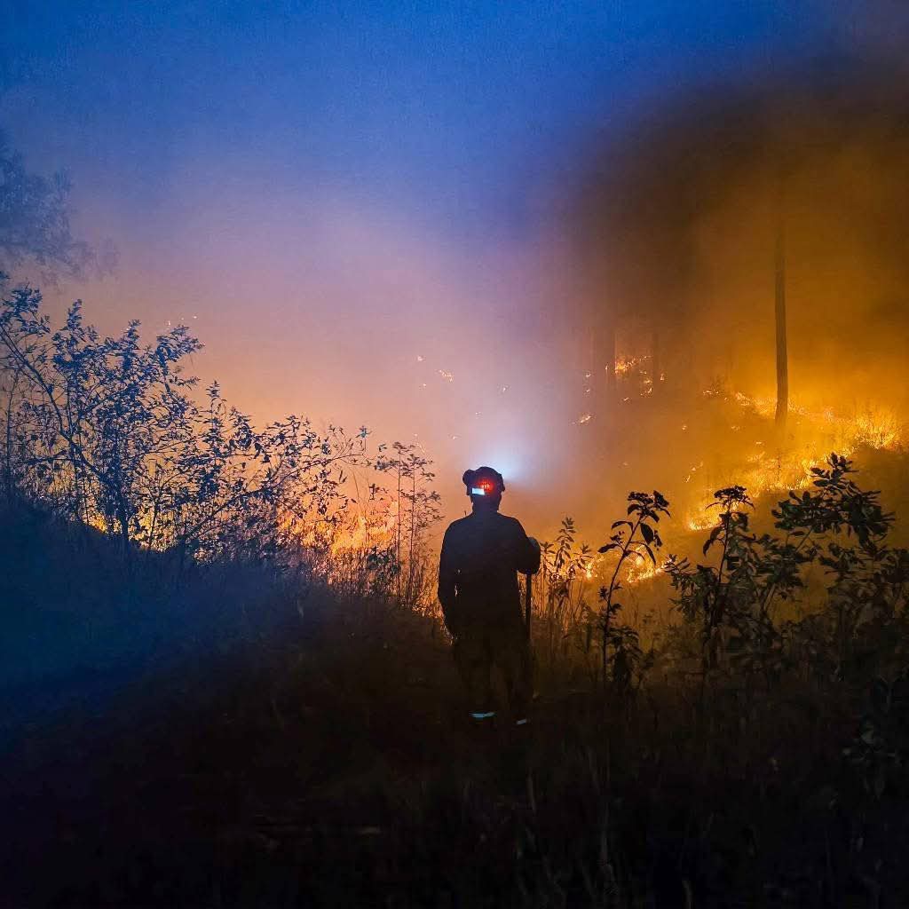 Se reportaron más de 200 incendios forestales en Michoacán